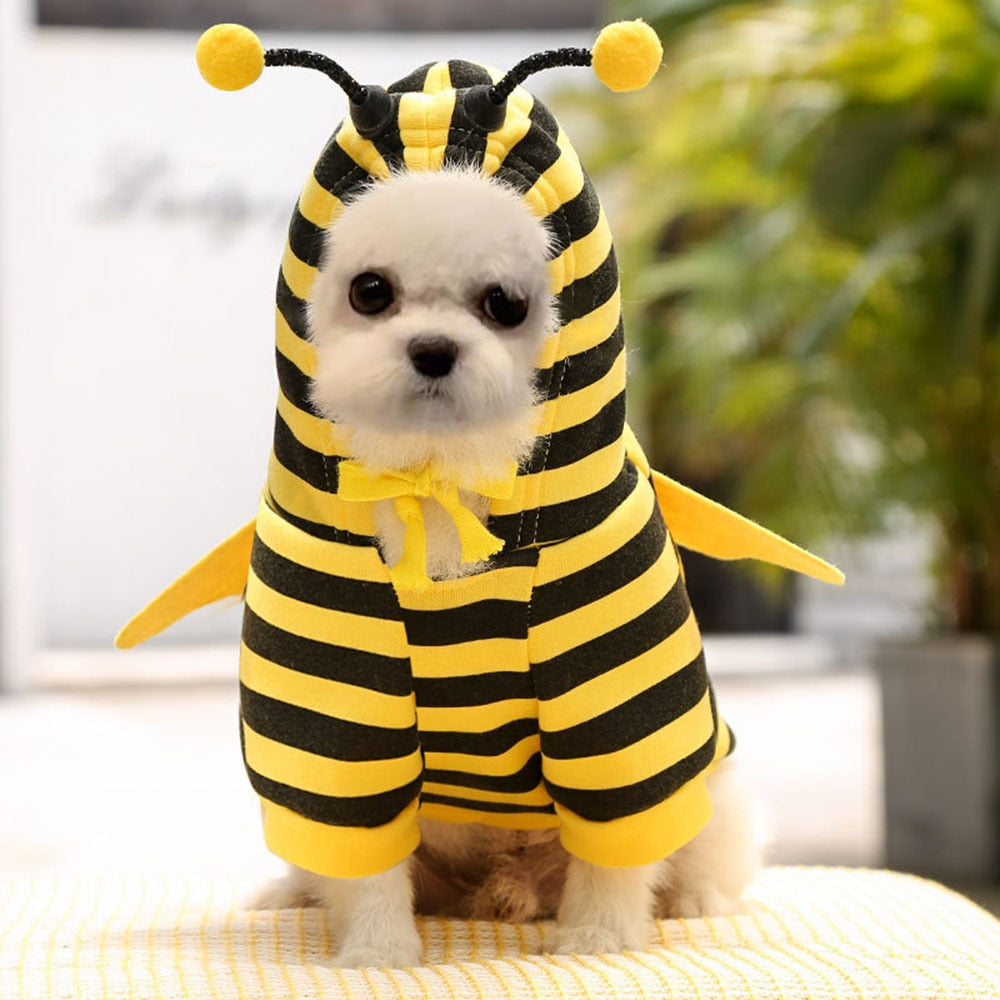 Bumble bee dog costume best sale