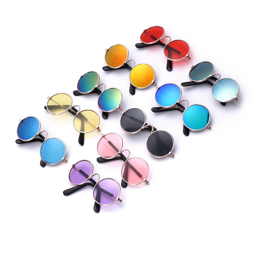 Colorful Doggy Sunglasses