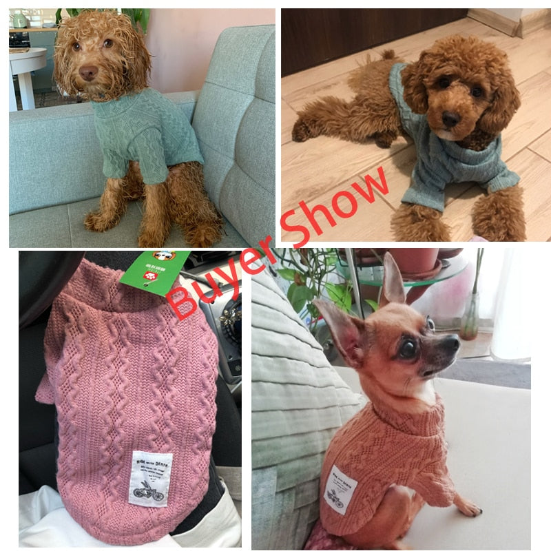 Preppy Puppy Cable Knit Sweater