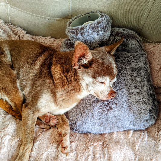 Fluffy Hot Water Bottle