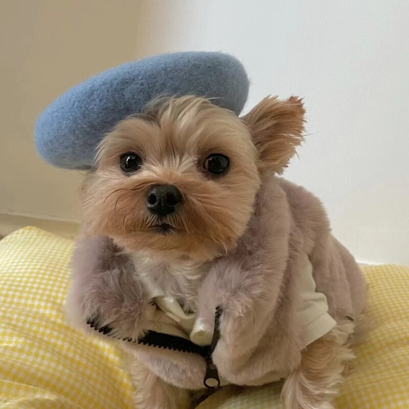 Bonjour Beret