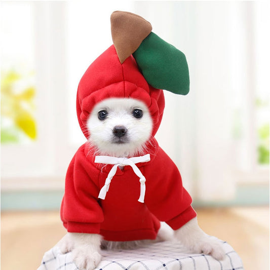 Cute Fruit Dog Hoodie