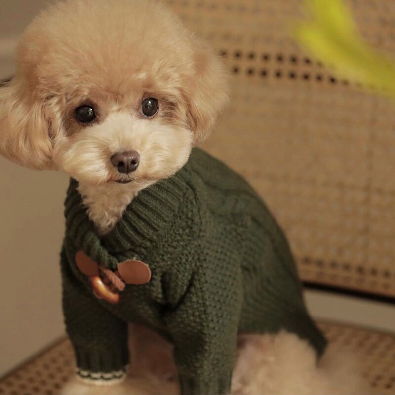 Preppy Puppy Toggle Sweater