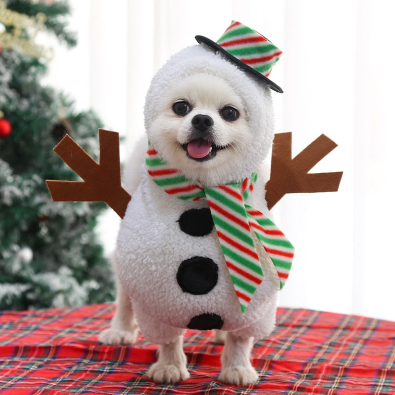 Snowman Dog Costume