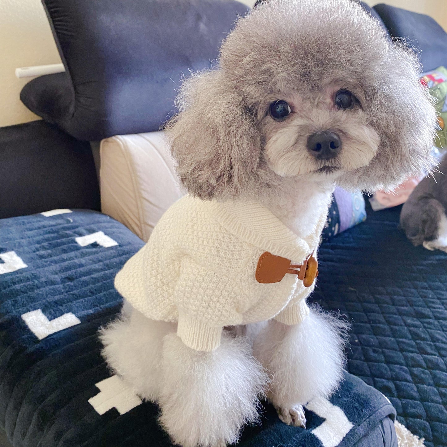 Preppy Puppy Toggle Sweater