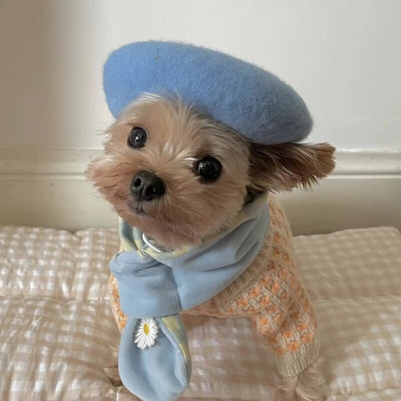 Bonjour Beret