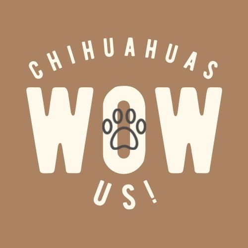 Chihuahuas Wow Us! Gift Card